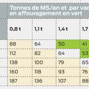 Coût de l’affouragement en vert