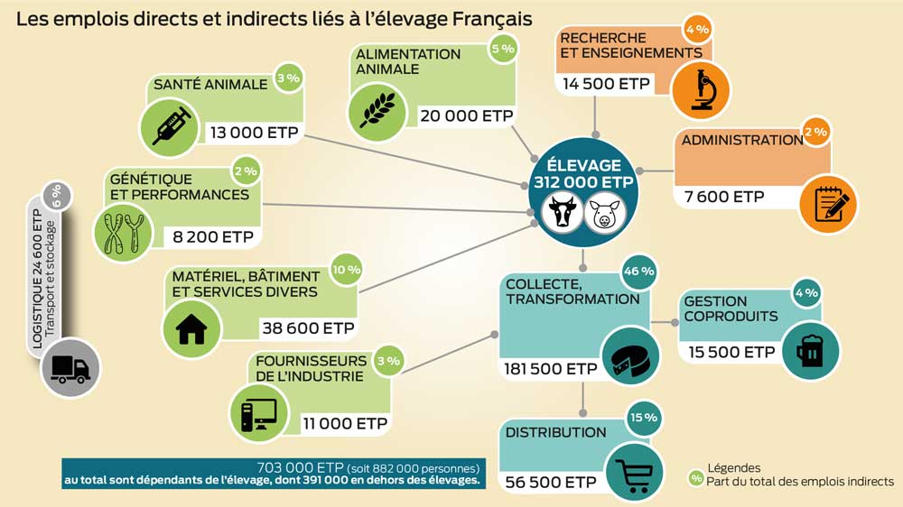 emploi-elevage-porc-bovin-volaille-croissance - Illustration Veaux, vaches, cochons génèrent 700 000 emplois