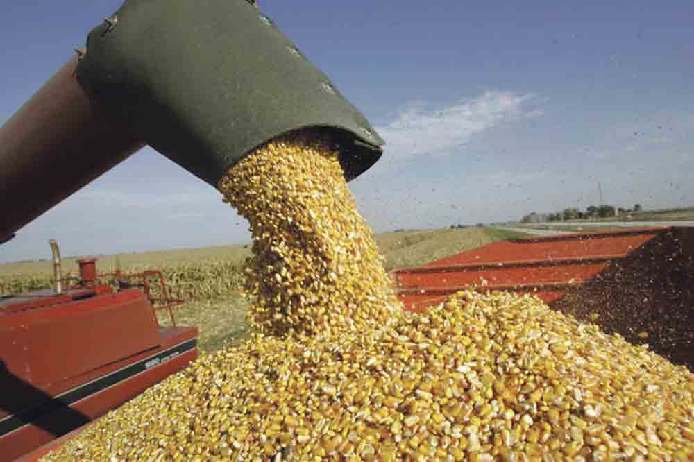 ethanol-biocarburant-energie-environnement-epa-etat-unis - Illustration Les États-Unis réduisent leurs objectifs de production d’éthanol