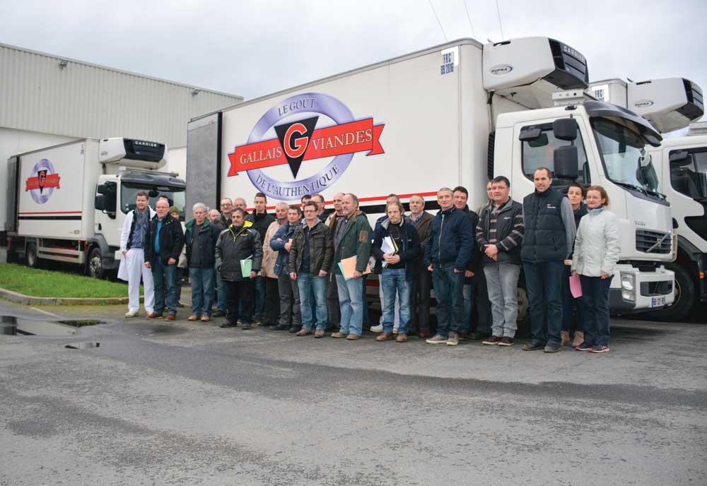 gallais-montauban-de-bretagne-viande-bovine-abattoir-label-rouge-limousin-production-progression - Illustration Le classement label illustré chez Gallais Viandes