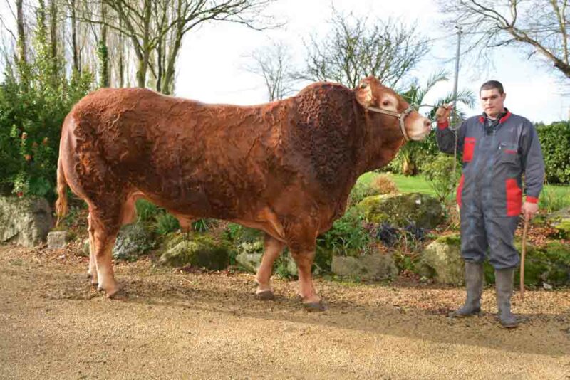 Champion à plusieurs reprises sur la Bretagne, Héron va-t-il aller plus loin à Paris ?