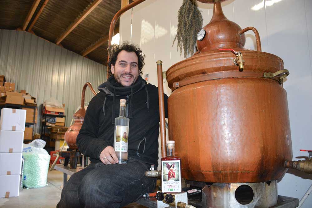 julien-fanny-alcool-plante-absinthe-plante-awen-nature - Illustration L’absinthe reste un alcool mystérieux