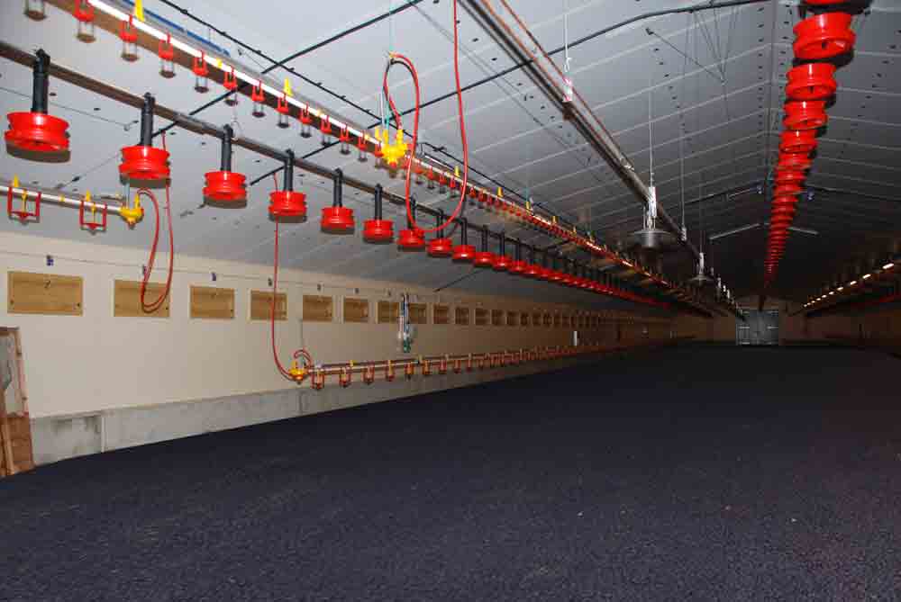 poulailler-beton-batiment-volaille-chair-aviculture-lennon-solution-alternative