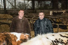 _remy-cottin-yvon-l-anthoen-producteur-lait-goudelin-vache-laitiere