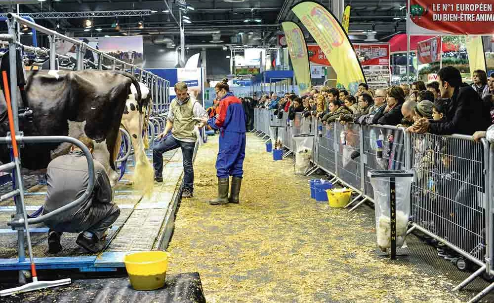 salon-agriculture-paris-concours-bovin-race-eleveur-producteur - Illustration Salon de l’agriculture à Paris