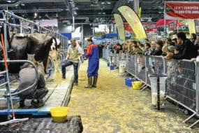 salon-agriculture-paris-concours-bovin-race-eleveur-producteur