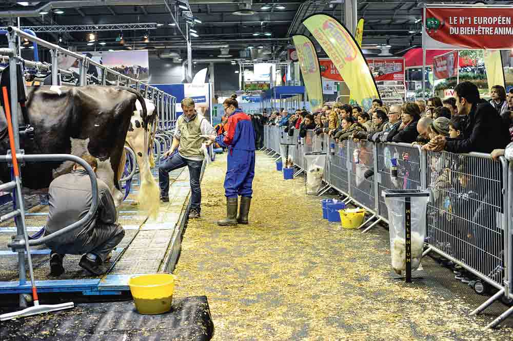 salon-agriculture-paris-concours-bovin-race-eleveur-producteur - Illustration Salon de l’agriculture à Paris