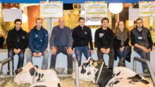 concours-agri-deiz-salon-agriculture-bovin-morlaix