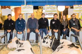 concours-agri-deiz-salon-agriculture-bovin-morlaix