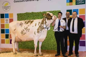 concours-bovin-pie-rouge-salon-agriculture-paris-2016