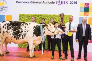 concours-bovin-salon-agriculture-paris-2016-normande-clochette
