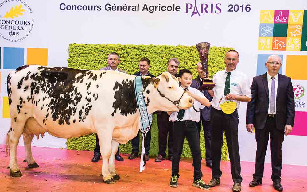 concours-bovin-salon-agriculture-paris-2016-normande-clochette - Illustration Clochette s’offre un conte de fées
