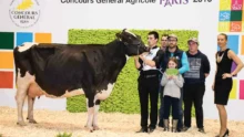 concours-bovin-salon-agriculture-paris-prim-holstein
