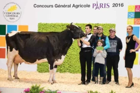 concours-bovin-salon-agriculture-paris-prim-holstein