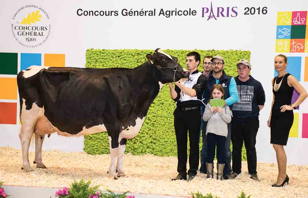 concours-bovin-salon-agriculture-paris-prim-holstein - Illustration Bellissima de l’ombre à la lumière