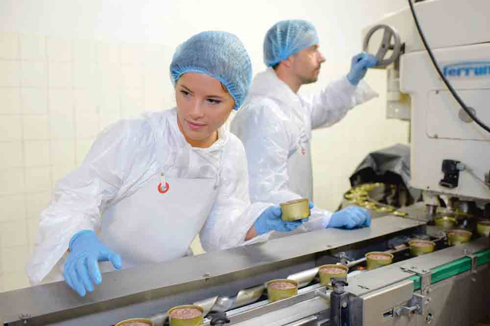 formation-emploi-jeune-filiaire-agricole-agroalimentaire-embauche - Illustration Les filières agricoles et agroalimentaires recrutent