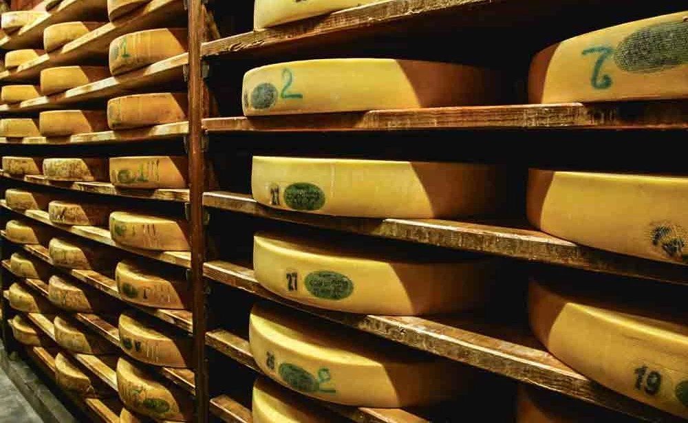 fromage-lait-vache-laitiere-aoc-comte - Illustration L’appellation d’origine leur procure 500 €/1 000 litres
