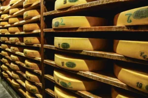 fromage-lait-vache-laitiere-aoc-comte