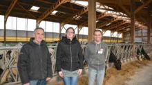 lait-fosse-lisier-vache-laitiere-prim-holstein