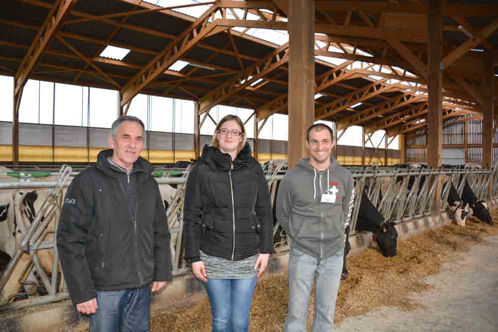 lait-fosse-lisier-vache-laitiere-prim-holstein - Illustration Moins de travail avec une fosse sous caillebotis