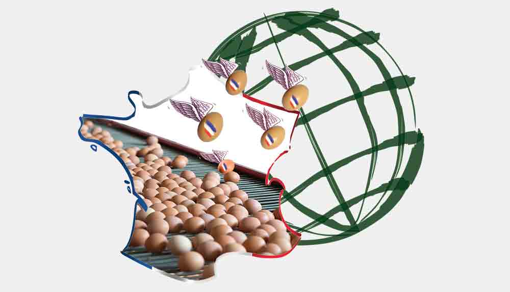 production-oeuf-france-marche-plein-air - Illustration Donner des ailes à l’oeuf coquille