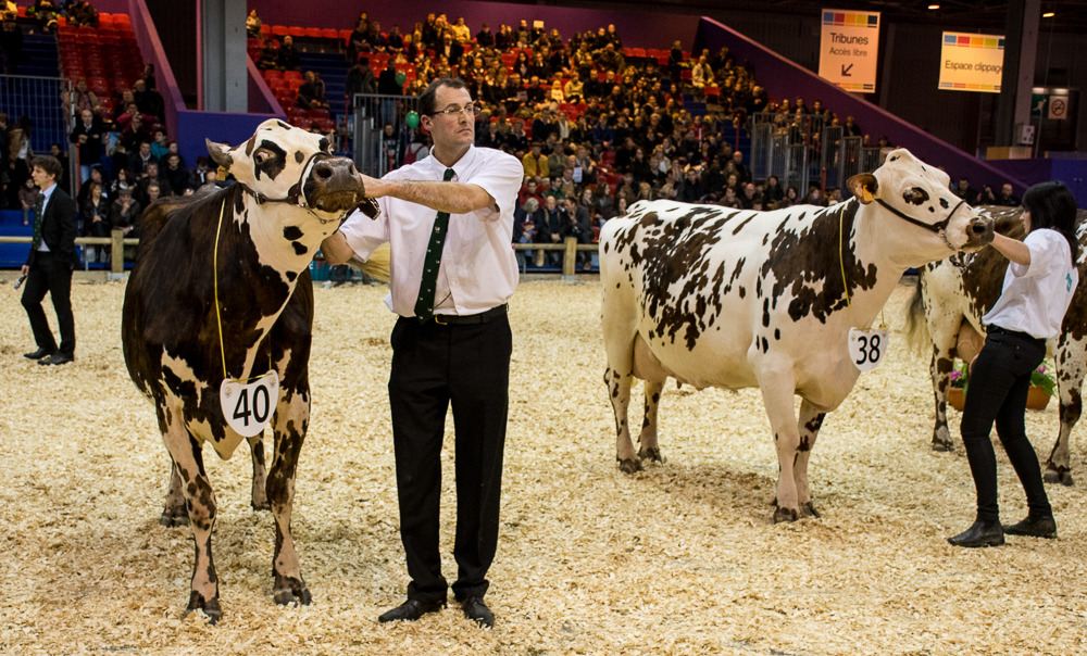  - Illustration Les éleveurs bretons au concours Normande du SIA 2016