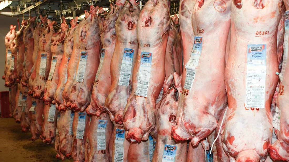  - Illustration Anti-viande : les éleveurs debout devant les abattoirs