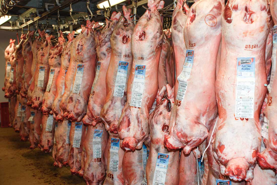 Photo of Anti-viande : les éleveurs debout devant les abattoirs
