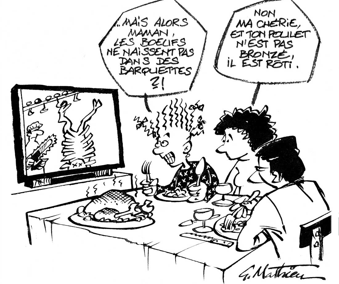 abattoir-tv - Illustration Ces images qui mettent l’élevage chaos