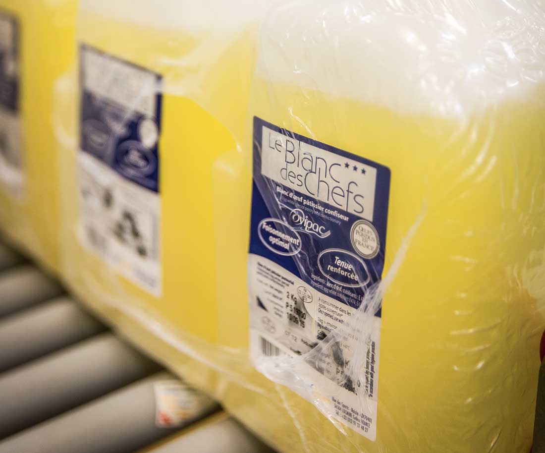 Photo of Les ovoproduits, une force pour la filière œufs