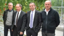 Michel le Roux, directeur et Jean-Denis Crenn, président, entourés de Thierry Bizien et Gérard Yven, administrateurs au Caté, à Saint-Pol-de-Léon (29), dans une des serres les plus récentes de la station expérimentale, en attendant le prochain investissement dont les travaux devraient démarrer cet été.