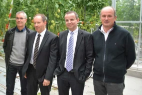 Michel le Roux, directeur et Jean-Denis Crenn, président, entourés de Thierry Bizien et Gérard Yven, administrateurs au Caté, à Saint-Pol-de-Léon (29), dans une des serres les plus récentes de la station expérimentale, en attendant le prochain investissement dont les travaux devraient démarrer cet été.