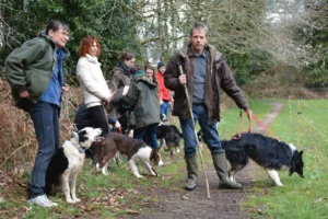 L'association des utilisateurs de chiens de troupeaux du Morbihan organise des formations de chiens de troupeau, comme ici, à Pluvigner.