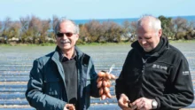 Jacky Brechet, à gauche, se bat avec Hubert Le Nan, à droite, pour que soit enfin reconnue l’échalote traditionnelle.