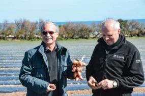 Jacky Brechet, à gauche, se bat avec Hubert Le Nan, à droite, pour que soit enfin reconnue l’échalote traditionnelle.