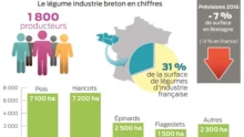 legume-industrie-bretagne