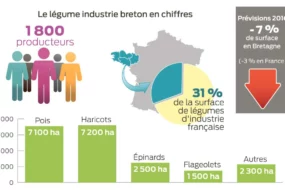 legume-industrie-bretagne