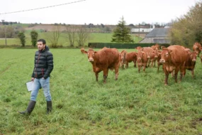 L’assemblée générale du Herd-Book Limousin Bretagne s’est clôturée par la visite de l’élevage de Gwénaël Mordelet à Lanfains (22)
