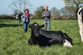 Christelle et Bruno Chevrel prennent la pose derrière Gessy, tête de souche des animaux sans cornes dans leur troupeau.