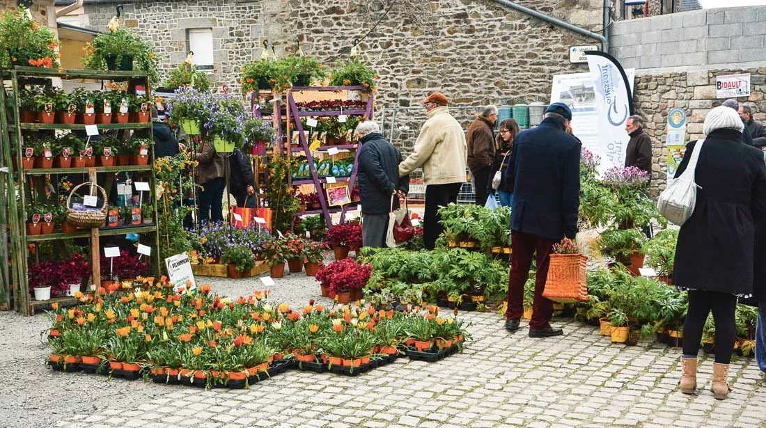  - Illustration Andel fête les belles plantes