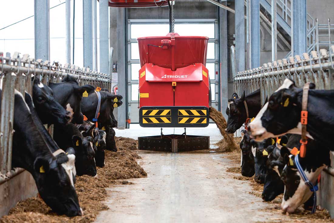 trioliet-distribution-ration - Illustration Lait : simplification et automatisation de la distribution