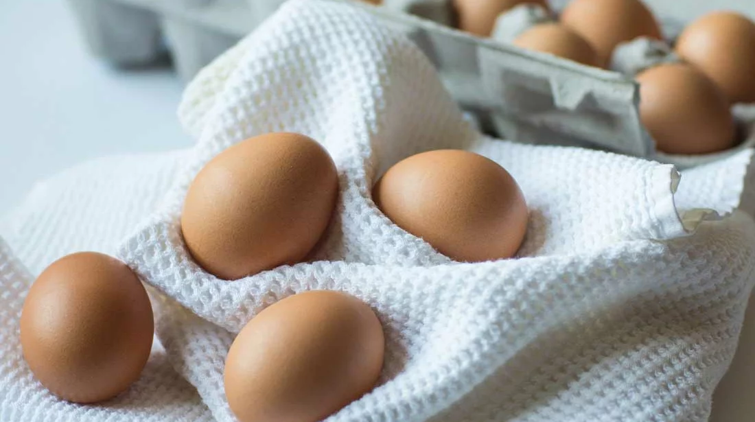 code-oeuf - Illustration Fipronil : 56 entreprises françaises concernées par les importations d’œufs ou d’ovoproduits