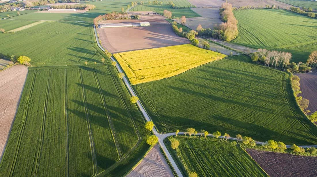 colza-ble-drone - Illustration Les retards de paiement des aides PAC cristallisent la colère des syndicats