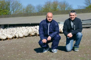 Olivier Nédelec, responsable des productions animales Ouest Euralis et Anthony Pinson, éleveur de canards gras à Bulat-Pestivien (22) ce dernier va investir plus de 100 000 € pour maintenir ses effectifs suite au passage à la bande unique.