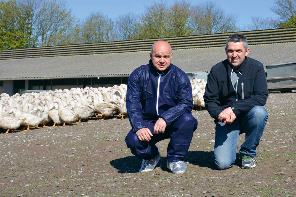 Olivier Nédelec, responsable des productions animales Ouest Euralis et Anthony Pinson, éleveur de canards gras à Bulat-Pestivien (22) ce dernier va investir plus de 100 000 € pour maintenir ses effectifs suite au passage à la bande unique. - Illustration Influenza aviaire : réorganisation des élevages de canards