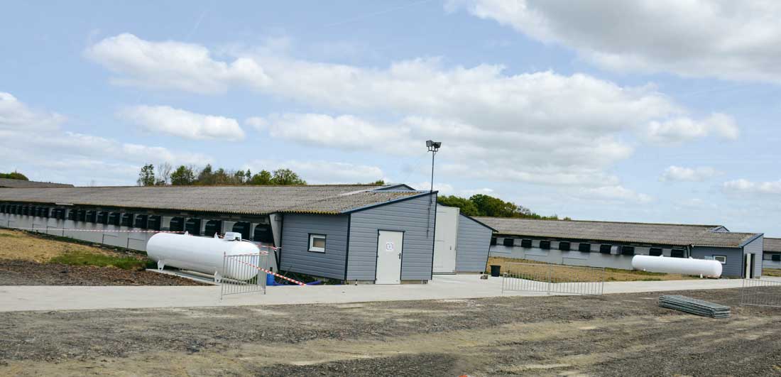 Les 5 poulaillers de 1 200 m2 ont été rénovés à l’identique : passage de la ventilation statique à dynamique, isolation, sol bétonné, changement du matériel d’élevage et bardage des pignons. - Illustration 6 000 m2 de poulaillers rénovés pour s’installer