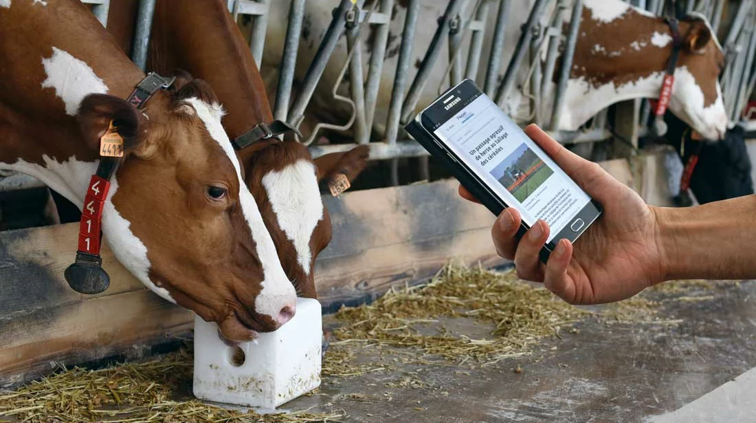 smartphone-agriculture - Illustration Un nouveau rapport à l’animal ou à la terre