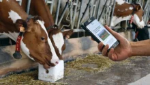 smartphone-agriculture