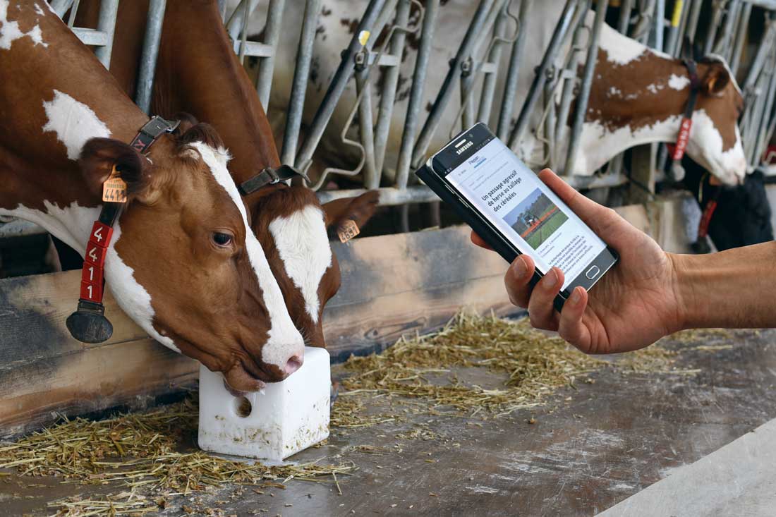 smartphone-agriculture