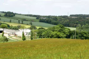 Pour les biens immobiliers agricoles, il existe une SCI spécifique : le Groupement foncier agricole (GFA).